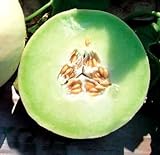 Park Seed Snow Mass Honeydew Melon Seeds photo / $7.95