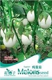 3 Packs 90 de berenjena blanca semillas de plantas hortícolas Semillas B050 foto / 14,49 €
