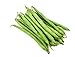 photo Burpee Stringless Green Bean Seeds, 50 Heirloom Seeds Per Packet, Non GMO Seeds, (Isla's Garden Seeds), Botanical Name: Phaseolus vulgaris, 85% Germination Rates