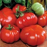 Park Seed Costoluto Genovese Tomato Seeds, Pack of 30 Seeds photo / $7.95