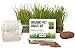 photo Cat Grass Growing Kit - 3 Pack Organic Seed, Soil and BPA Free containers (Non GMO). All of Our Seed is Locally sourced!