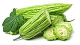120+ Bitter Melon Gourd Seeds for Planting - Balsam Pear - Momordica charantia Bitter Squash - Heirloom Organic Non-GMO Bitter Gourd Vegetable Seeds for Home Garden/Outdoor photo / $26.23 ($0.22 / Count)