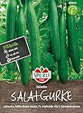 80900 Sperli Premium Gurken Samen Saladin | Schlangengurken Samen | Gurkensamen Gewächshaus | Samen Gurke | Salatgurken Samen foto / 4,97 €