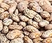 photo Pinto Beans Seeds, the Most Common Bean in the US 100 Seeds Heirloom !