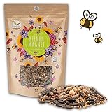 500 g de graines de prairie colorées pour un pâturage fleuri pour les abeilles - Graines de fleurs sauvages multicolores & riches en nectar pour abeilles & papillons (ebook GRATUIT inclus) photo / 22,90 € (45,80 € / kg)