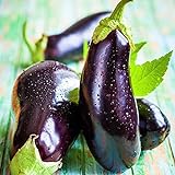 Eggplant Seed, Black Beauty, Heirloom, Non GMO, 50 Seeds, Vegetable photo / $2.29 ($0.05 / Count)