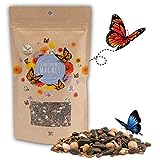 200g Semillas de pradera para mariposas para una colorida pradera de flores - mezcla de semillas de flores silvestres ricas en néctar para mariposas foto / 14,90 €