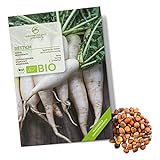 BIO Rettich Samen (Japanischer Daikon) - Rettich Saatgut aus biologischem Anbau ideal für die Anzucht im Garten, Balkon oder Terrasse foto / 4,90 €