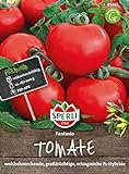 83461 Sperli Premium Tomatensamen Fanatsio | Hochresistent |Tomatensamen Resistent | Aromatische | Ertragreich | Tomaten Samen | Tomatensamen alte Sorten Freiland | Tomaten Saatgut foto / 4,97 €