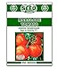 photo Marglobe Tomato Seeds - 250 Seeds Non-GMO