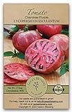 Gaea's Blessing Seeds - Tomato Seeds - Cherokee Purple Slicing Tomato - Non-GMO Seeds with Easy to Follow Planting Instructions - Open-Pollinated 96% Germination Rate photo / $6.99