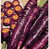 Purple Dragon Carrots Seeds (25+ Seeds)(More Heirloom, Organic, Non GMO, Vegetable, Fruit, Herb, Flower Garden Seeds (25+ Seeds) at Seed King Express) photo / $4.69