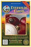Everwilde Farms - 500 Red Burgundy Onion Seeds - Gold Vault Jumbo Seed Packet photo / $2.98