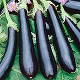 Seeds Eggplant Aubergine Long Pop Black Vegetable Heirloom for Planting Non GMO photo / $8.99