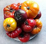This is A Mix!!! 30+ Rainbow Deluxe Tomato Seeds Mix 16 Varieties, Heirloom Non-GMO, Indeterminate, Old German, Chocolate Stripes, Ukrainian Purple, Amish Paste USA photo / $5.69