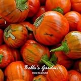 Naranja berenjena 20pcs turca Vegetable Seeds Inicio Plantas Bonsai Garden bricolaje foto / 14,98 €