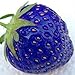 foto TOYHEART 200 Stück Premium-Fruchtsamen, Erdbeersamen, Nahrhafte, Fruchtbare, Natürliche Pflanzensamen Mit Blauen Pflanzen Für Den Innenhof Blau