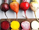 Rainbow Mix Heirloom Beet Seeds Gold, White, Red and Chioggia! bin316 (180+ Seeds, or 1/8 oz) photo / $4.39