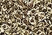 foto Moringa oleifera - 20 semillas - ¡rábano picante!