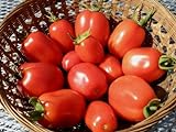 75+ Roma VFN- Heirloom Tomato Seeds photo / $3.89