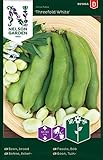 Ackerbohnen Samen für Gemüsegarten - Nelson Garden Saatgut Dicke Bohnen (40 Stück) (Bohne, Acker, Einzelpackung) foto / 3,45 €