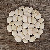 Henderson's Bush Lima Bean - 50 Seeds - Heirloom & Open-Pollinated Variety, USA-Grown, Non-GMO Vegetable/Dry Bean Seeds for Planting Outdoors in The Home Garden, Thresh Seed Company photo / $7.99