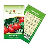 Stabtomaten Harzfeuer F1 Samen - Solanum lycopersicum - Tomatensamen - Gemüsesamen - Saatgut für 15 Pflanzen foto / 1,99 € (0,13 € / stück)