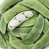 Henderson Baby Lima Beans, 30 Heirloom Seeds Per Packet, Non GMO Seeds, Botanical Name: Phaseolus lunatus, Isla's Garden Seeds photo / $5.99 ($0.20 / Count)