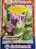 Golden Mountain Thai Round Eggplant Seeds photo / $6.99