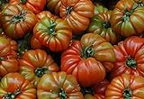 Portal Cool 100 Semillas: Las semillas de tomate Raf, Variedad Tamano Grande, Viejo tomate de la herencia española, Andalucía foto / 4,99 €