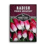 Survival Garden Seeds - French Breakfast Radish Seed for Planting - Pack with Instructions to Plant and Grow Long Radishes to Eat in Your Home Vegetable Garden - Non-GMO Heirloom Variety photo / $4.99