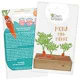 Mini Möhren Samen: Premium Mini Möhrensamen für Kinder und Erwachsene – Baby Karotten Samen für ca 300 Pflanzen – Mona Mini Möhre – Mini Gemüse Saatgut für Kids – Saat Samen Karotten von OwnGrown foto / 2,95 € (2,95 € / stück)