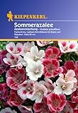 Sperli Blumensamen Sommerazalee Godetia Mischung, grün foto / 2,88 € (96,00 € / 100 g)