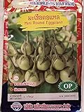 Golden Mountain Thai Mini Round Eggplant Seeds photo / $6.99