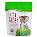 photo Organic Cat Grass Seed Blend for Planting by Handy Pantry - A Healthy Mix of Organic Wheatgrass Seeds: Barley, Oats, and Rye Seeds - Non-GMO Wheat Grass Seeds for Pets - Cat Grass Kit Refill (12 oz.)