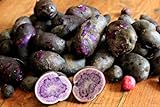 Simply Seed - Purple Majesty - Naturally Grown Seed Potatoes - 5 LB- Ready for Spring Planting photo / $25.99 ($0.32 / Ounce)