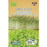 Germisem Orgánica Sprouts Mix Semillas 20 g (ECBIO1901) foto / 3,99 €