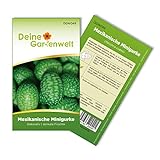 Mexikanische Minigurke Samen - Melothria scabra - Minigurkensamen - Gemüsesamen - Saatgut für 10 Pflanzen foto / 1,99 € (0,20 € / stück)