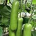 photo S-pone 20+ Long Bottle Gourd Seeds Edible Asian Indian Opo Squash Dudi Calabash Long Melon