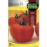 Semillas Fitó Híbridos 4049 - Tomate Crisol foto / 3,98 €
