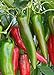 photo 100 Anaheim Chili Pepper Seeds | Non-GMO | Fresh Garden Seeds