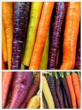 Homegrown Carrot Seeds, 1000 Seeds, Rainbow Supreme Carrot Mixture No GMO photo / $5.49