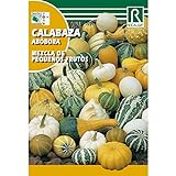 Semillas de Calabaza mezcla de pequeños frutos foto / 1,62 €