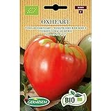 Germisem Orgánica Oxheart Semillas de Tomate 0.5 g (ECBIO8009) foto / 3,99 €