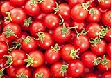 30+ Sweetie Cherry a.k.a. Sugar Sweetie Tomato Seeds, Heirloom Non-GMO, Extra Sweet, Heavy-Yielding, Indeterminate, Open-Pollinated, Delicious, from USA photo / $2.69 ($38.16 / Ounce)