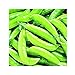 photo Park Seed Super Sugar Snap Pea Seeds, Delicious and High Yield, Pack of 160 Seeds
