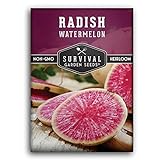 Survival Garden Seeds - Watermelon Radish Seed for Planting - Packet with Instructions to Plant and Grow Unique Asian Vegetables in Your Home Vegetable Garden - Non-GMO Heirloom Variety photo / $4.99