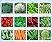 photo Premium Winter Vegetable Seeds Collection Organic Non-GMO Heirloom Seeds 12 Varieties: Radish, Pea, Broccoli, Beet, Carrot, Cauliflower, Green Bean, Kale, Arugula, Cabbage, Asparagus, Brussel Sprout