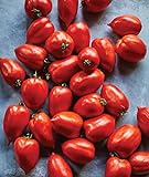 Burpee 'Big Mama' Hybrid | Large Red Paste Tomato | 50 Seeds photo / $7.47 ($0.15 / Count)