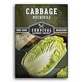 Survival Garden Seeds - Michihili Napa / Nappa Cabbage Seed for Planting - Pack with Instructions to Plant and Grow Brassica Vegetables in Your Home Vegetable Garden - Non-GMO Heirloom Variety photo / $4.99